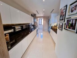 The Ritz-Carlton  (D9), Condominium #576840481